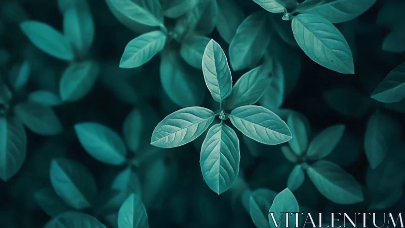 Teal toned close up of symmetrical green plant leaves.