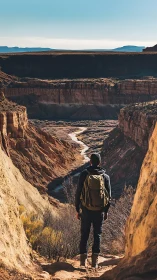 Lone hiker overlooks winding river through sunlit canyon.