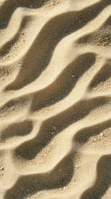 Sunlit ripples in fine beach sand create soft minimal waves