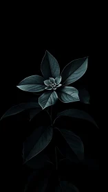 Dark botanical bloom glows softly against a pure black void