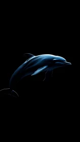 High contrast dolphin silhouette in deep black negative space