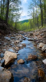 Rocky forest stream cutting through early spring woodland.