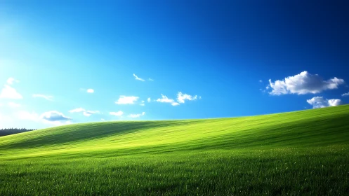 Sunlit green hillside stretches beneath a radiant blue sky