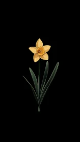 Golden Daffodil: Botanical Study Against Black