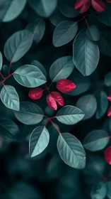 Macro botanical study of teal foliage with magenta accent leaves