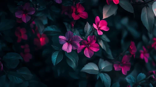 Vibrant Pink Blossoms in Twilight Garden.