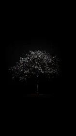 Solitary illuminated tree emerging from deep black void.