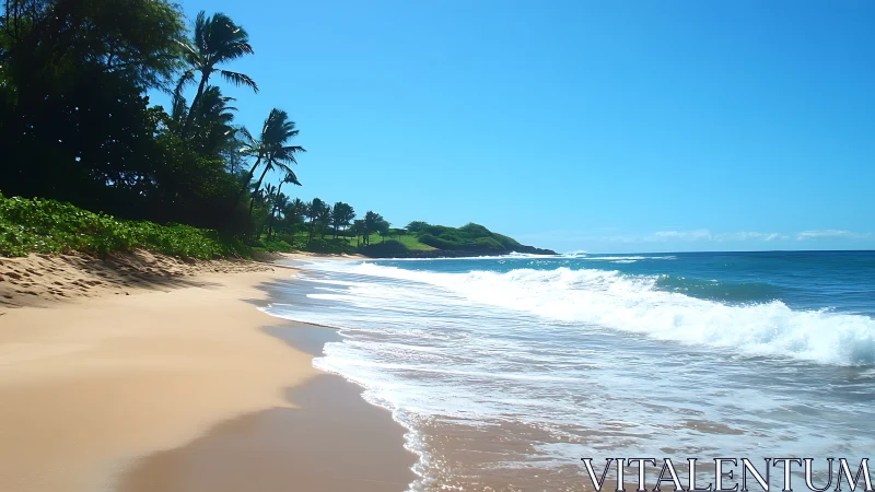 Golden Paradise Beach Meets Tropical Waves