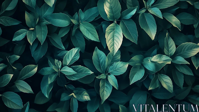 Lush emerald foliage in moody cinematic overhead composition.