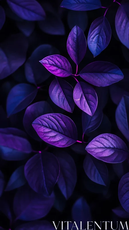 Ultraviolet foliage study with high-contrast nocturnal tones.