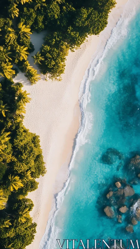 Turquoise Ribbon Meets the Jungle's Golden Crown.