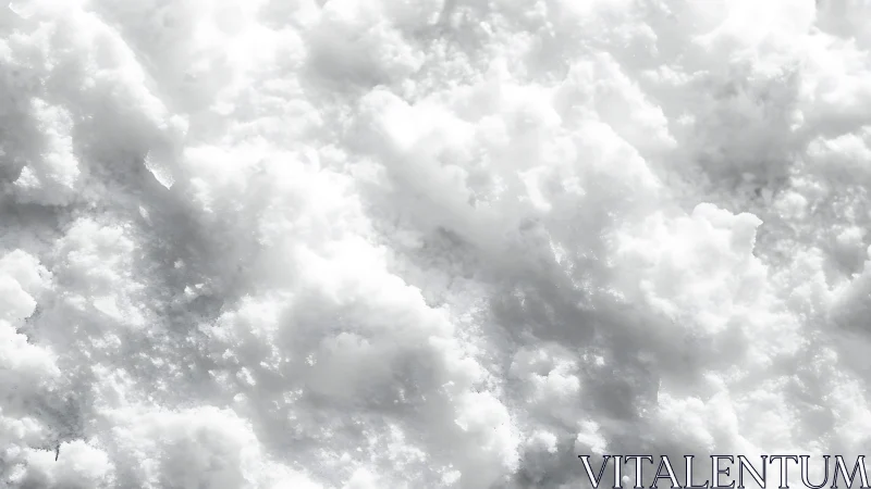 Fresh winter snow texture under bright diffused light.