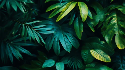 Emerald jungle leaves weaving a lush midnight canopy.