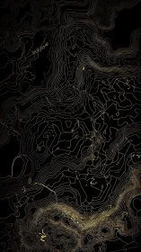 Gold contour lines trace an abstract topographic landscape.