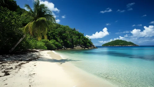 Tropical Beach Cove with Turquoise Waters and Lush Vegetation