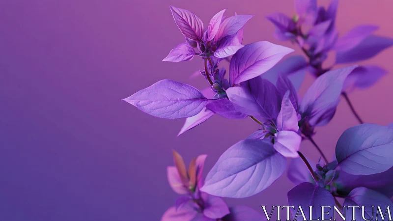 Purple Bloom Branches Dance Against Luminous Twilight Gradients