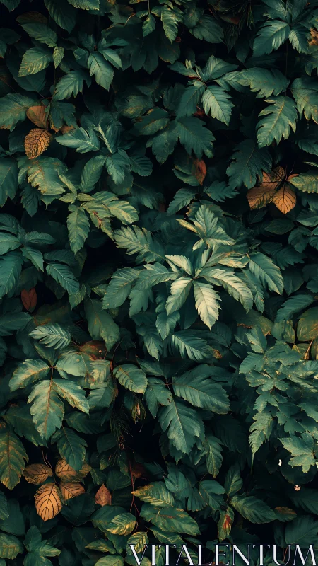 Dense overlapping foliage with teal-green leaves under soft diffuse light