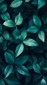 Midnight teal leaves murmuring in quiet botanical hush.