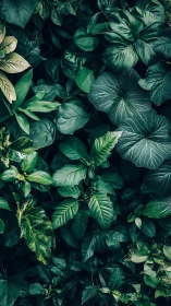 Whispering jungle leaves weaving a lush emerald tapestry.