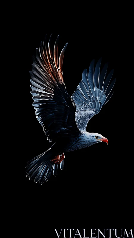 High-contrast raptor study with specular-lit wings on black field