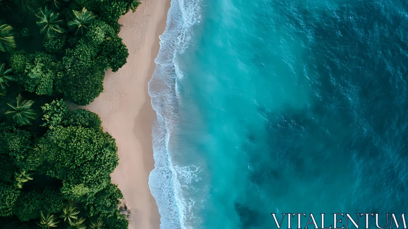 Emerald jungle meets turquoise ocean in nature's most dramatic collision