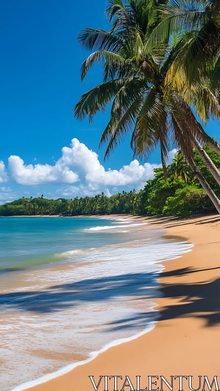 Tropical Paradise Beach: Palm Framing Coastal Composition.