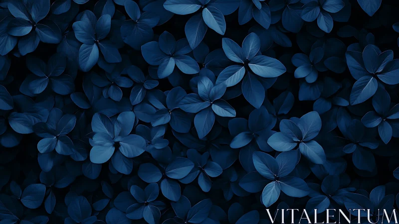 Midnight blue foliage forms a serene abstract pattern.