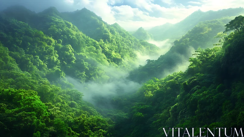 Emerald Valleys Breathe: Where Mist Dances Through Ancient Green.