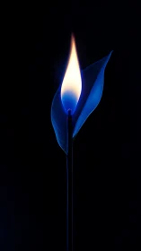 Blue Flame with White Core Against Black Background.