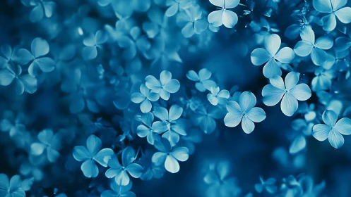 Delicate Blue Flowers Dancing in Dreamy Light