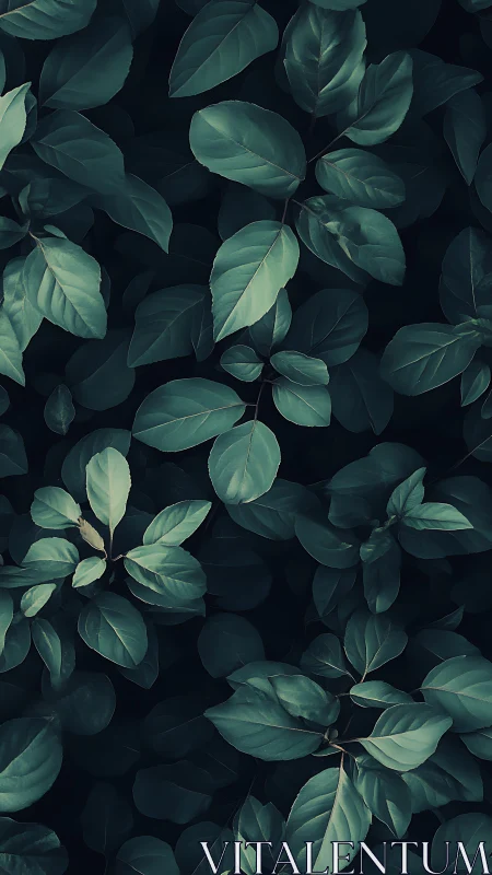 Midnight garden leaves murmuring in deep teal hush.