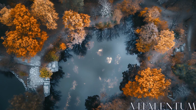 Amber treetops circling a quiet mirror pond from above.