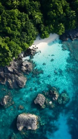 Tropical Cove with Crystalline Waters Meets Dense Jungle