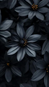 Dark Daisy Cluster with Golden Centers.