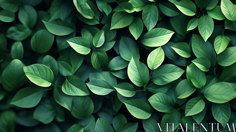 Lush green foliage layers capture rich natural texture.