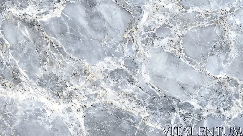 Icy grey marble slab with intricate crystalline veining.