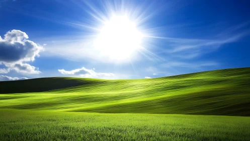 High-contrast sunlit grassland under deep cobalt sky