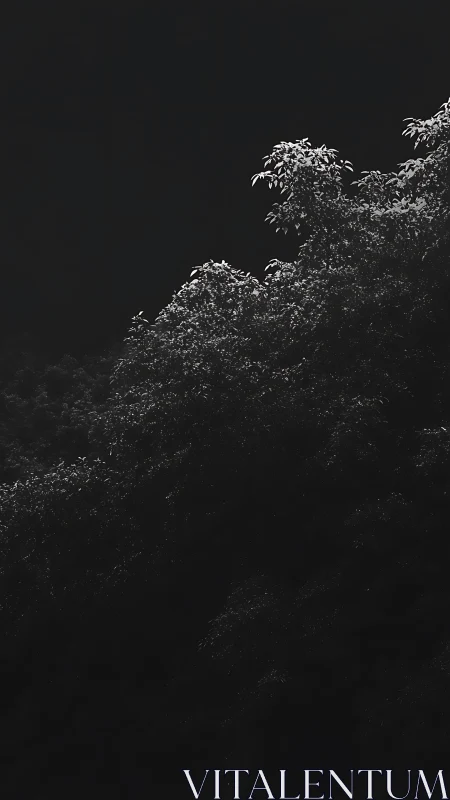 Gentle moonlit treetops glow softly against the dark sky