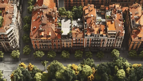 Aerial study of terracotta roof grid and tree-lined boulevard.