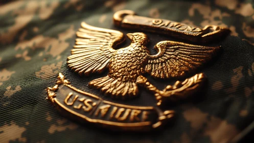 Gold military eagle insignia rests on camouflage fabric
