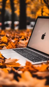 Open laptop on autumn leaves in soft outdoor daylight.