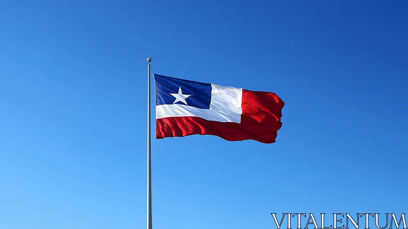 Wind-carved tricolor flag saluting a boundless cobalt sky.