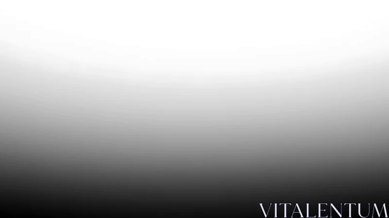 Soft grayscale horizon gently blends light into quiet shadow