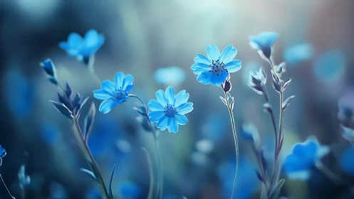 Blue flowers with selective focus botanical photography.
