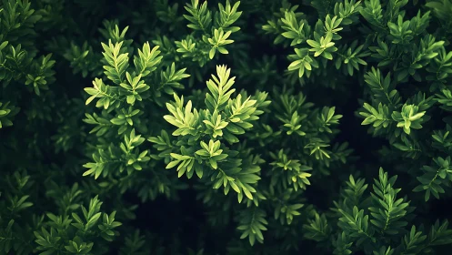 Lush green shrub leaves form a calming natural backdrop