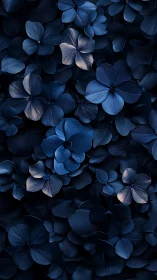 Blue Hydrangea Petals Clustered in Deep Shadow Light