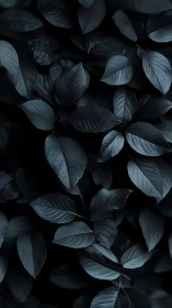 Moody monochrome foliage with deep cyan directional highlights.