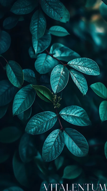 Moody macro study isolates teal foliage in low key lighting