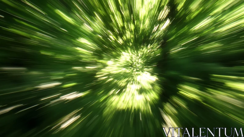 Sunlight Burst Through Foliage With Dynamic Motion Blur Effect.