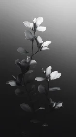 Monochrome botanical stem in gradient chiaroscuro lighting.